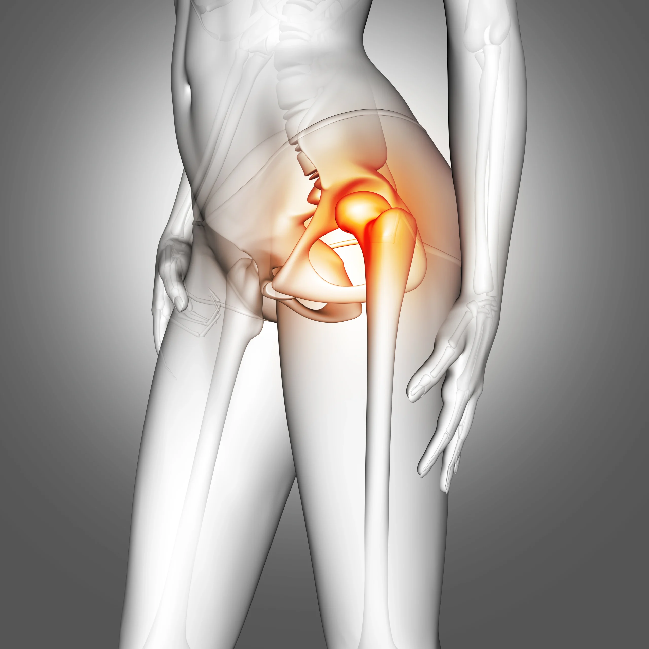 3d female medical figure with hip bone highlighted
